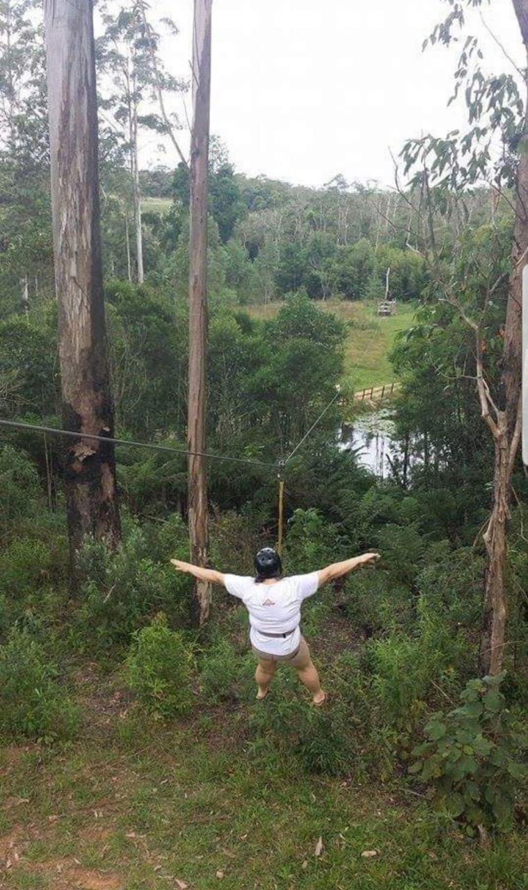 FAZENDA GALO AZUL